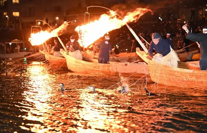 Bắt Cá Bằng Chim Cốc Trên Sông Basen Ở Tỉnh Hiroshima