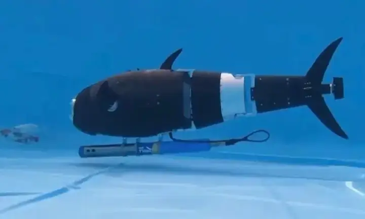 Chip Cá Rồng Là Gì Và Hoạt Động Như Thế Nào?