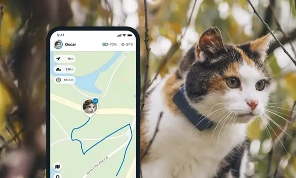 Có Cần Thiết Phải Dùng Định Vị Chó Mèo Không? Có Cần Thiết Phải Dùng Định Vị Chó Mèo Không?