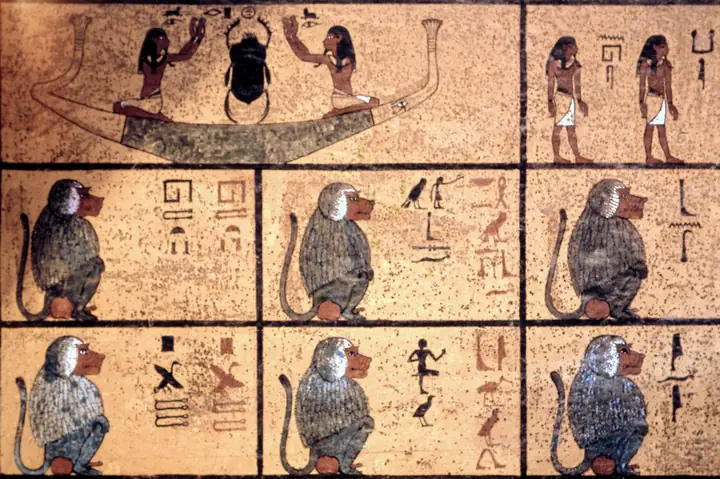 Chó Ai Cập Cổ Đại