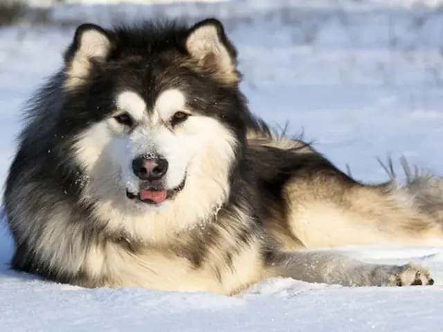 Tính Xấu Bạn Nên Biết