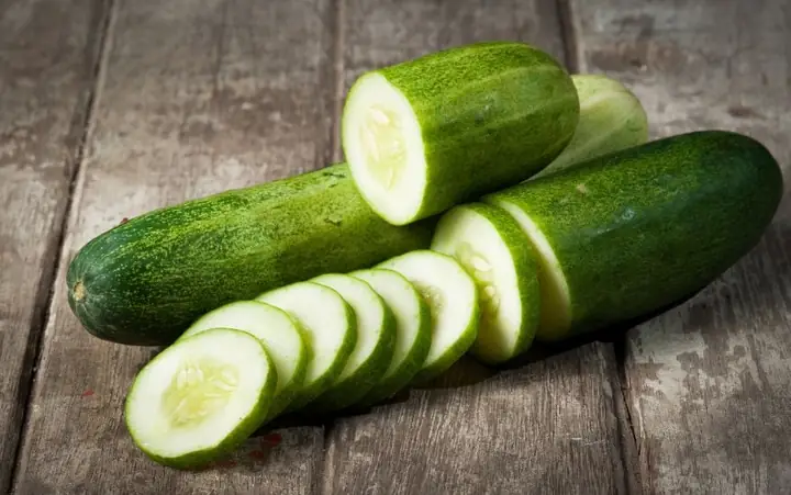 Dưa Leo Có An Toàn Cho Chó Không?