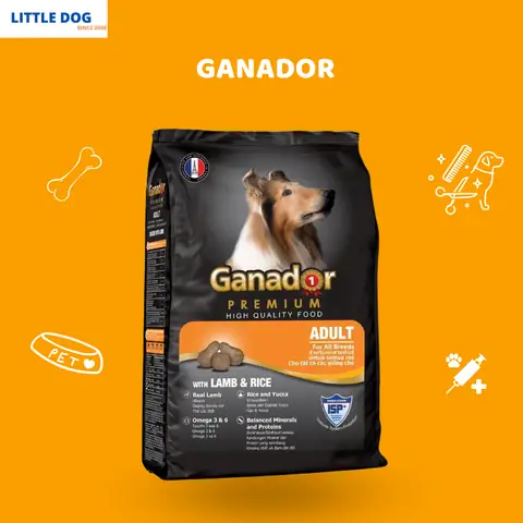 Chó Ăn Gì Đẹp Lông