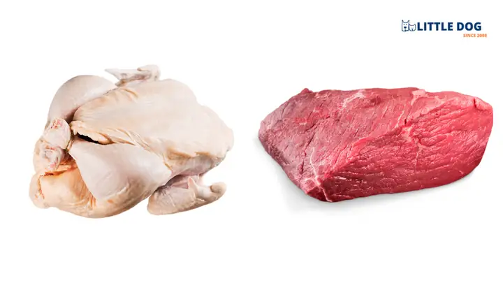 Chó Ăn Gì Đẹp Lông