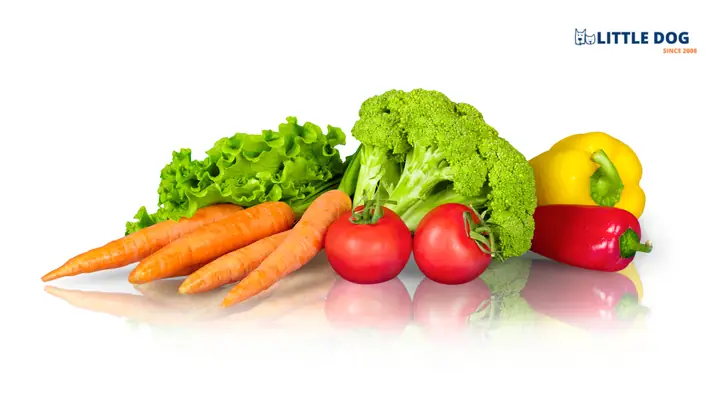 Chó Ăn Gì Đẹp Lông