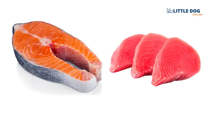 Chó Ăn Gì Đẹp Lông