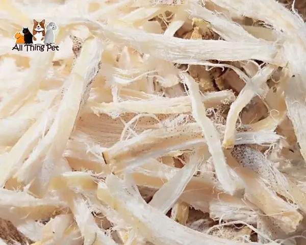 Lợi Ích Khi Chó Ăn Mực Lợi Ích Khi Chó Ăn Mực