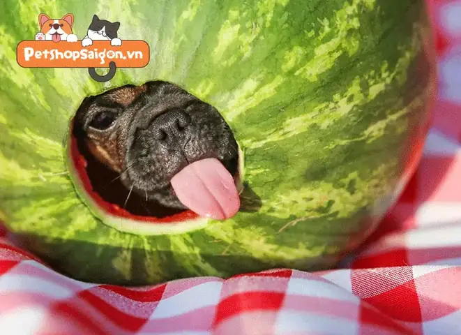 Các Loại Trái Cây Có Thể Thay Thế Nho