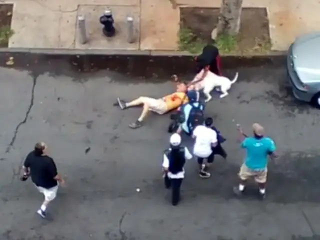 Tìm Hiểu Về Chó Becgie Và Cách Phòng Tránh Nguy Cơ Bị Cắn