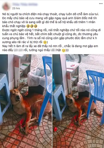 Chó Bị Chích Điện Có Chết Không? Những Điều Cần Biết