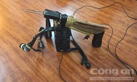 Chó Bị Chích Điện Có Chết Không? Những Điều Cần Biết