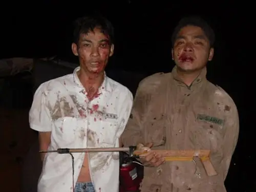 Chó Bị Chích Điện Phải Làm Sao: Hướng Dẫn Cấp Cứu Và Biện Pháp Phòng Ngừa