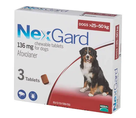 Hướng Dẫn Cách Chữa Bệnh Ghẻ Máu Cho Chó