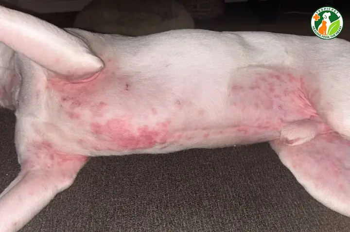 Do Ảnh Hưởng Từ Độ Ẩm Và Nhiệt Độ Của Môi Trường Sống