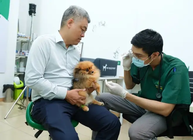 Cách Xử Lý Khi Chó Bị Rụng Răng