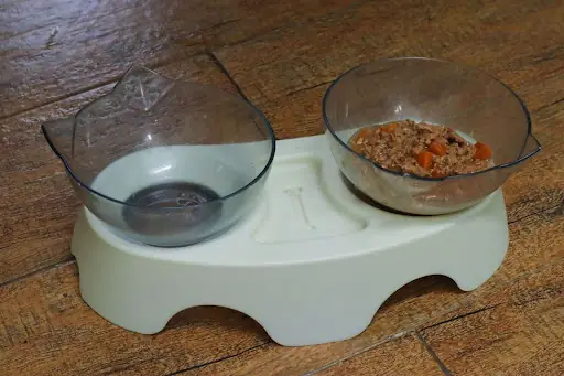 Một Số Nguyên Nhân Chính Khiến Chó Bị Sảy Thai