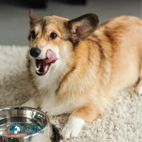 Những Nguy Cơ Tiềm Ẩn Khi Có Bị Viêm Bàng Quang