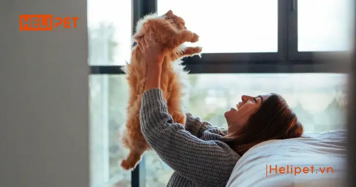 Mèo Bị Viêm Phổi Có Tự Khỏi Được Không?