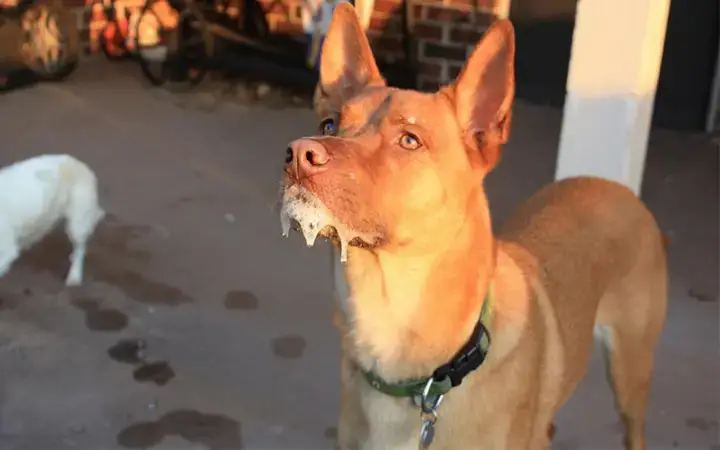 A. Căng Thẳng Và Lo Âu