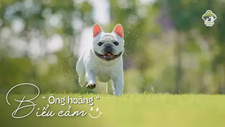 Biết Bày Tỏ Tâm Trạng, Cảm Xúc