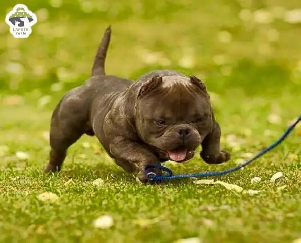 Điều Kiện Sống Thích Hợp