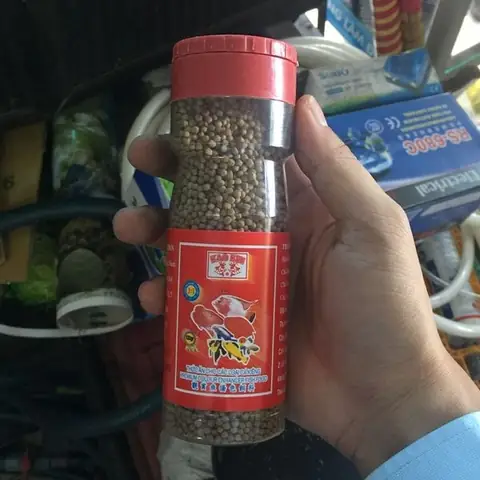 Cho Cá Cảnh Ăn Bao Nhiêu Là Đủ ? Cho Cá Cảnh Ăn Bao Nhiêu Là Đủ ?