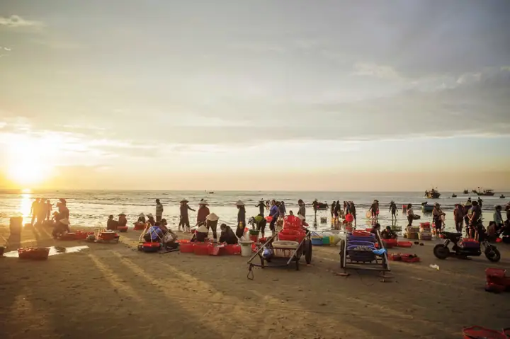 Quang Cảnh Chợ Cá Cảnh Dương Lúc Rạng Sáng.