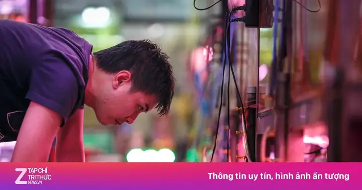 Chợ Cá Cảnh Lâu Đời Nhất Sài Gòn | Znews.vn