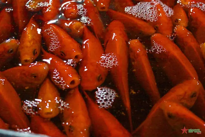 Chợ Cá Chép Vàng