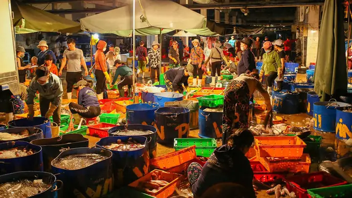 Top 10 Chợ Hải Sản Quy Nhơn Tươi Ngon, Giá Rẻ | Xanh Sm