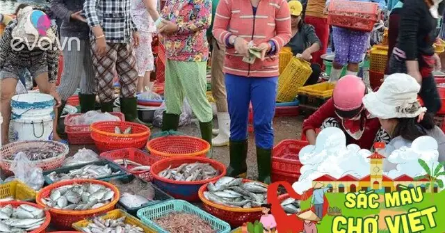 Quy Nhơn Có Một Khu Chợ Cá Lớn Và Nổi Tiếng Bậc Nhất Miền Trung ...