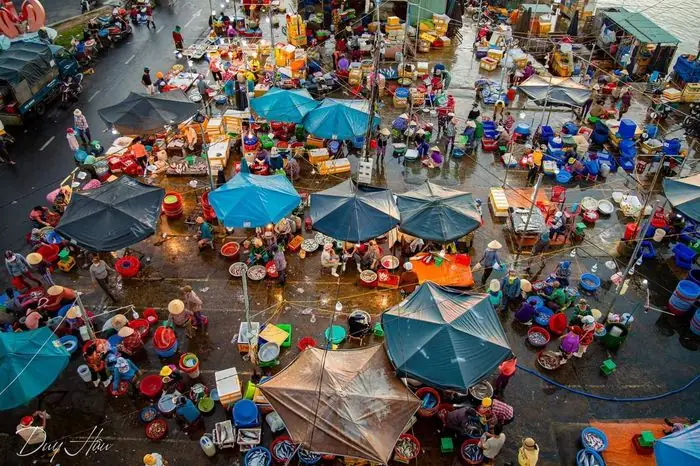 Chợ Cá Thanh Hà Hội An - Nơi Bán Hải Sản Tươi Sống Ngon Nhất Ở Phố Cổ 6