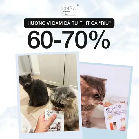 Sen Cần Chú Ý Gì Khi Chăm Sóc Cho Chó Cái Sưng Bộ Phận Sinh Dục?