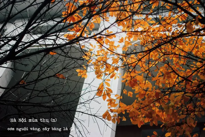 Tổng Hợp Cảnh Đẹp Ở Hà Nội Để Chụp Ảnh Đẹp Mê Hồn