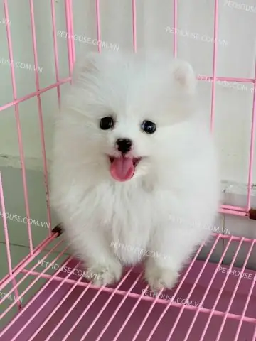 Đồng Hành Lý Tưởng, Giảm Căng Thẳng