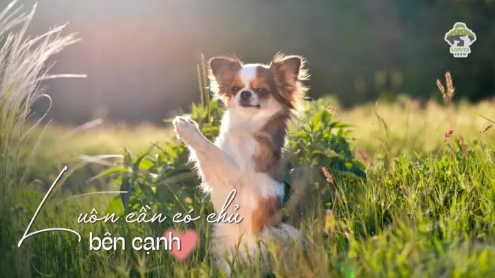 Giàu Tình Cảm, Gần Gũi