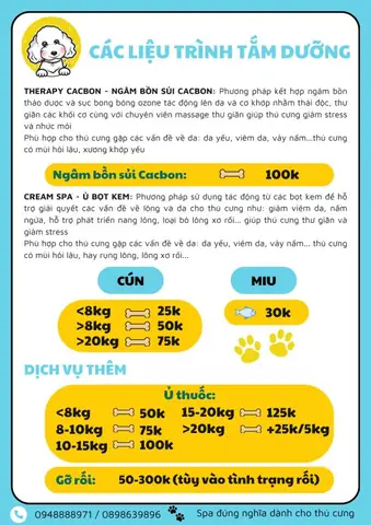 Shinypet – Dịch Vụ Spa Chó Mèo Hà Nội