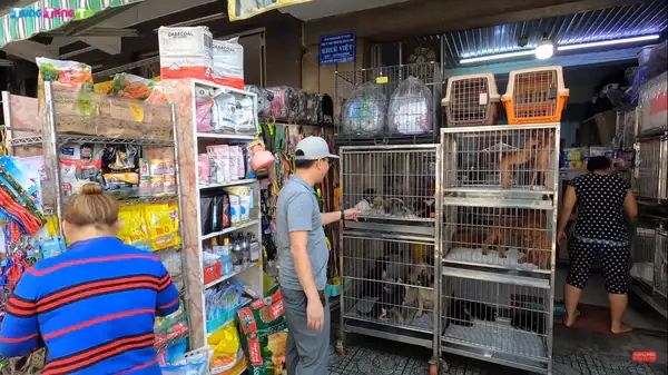Chợ Bán Chó Mèo Ở Sài Gòn