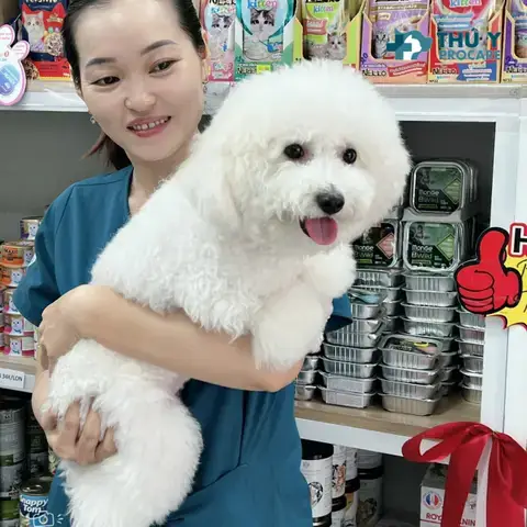 Các Yếu Tố Ảnh Hưởng Đến Thời Điểm Và Cách Cho Chó Uống Thuốc Tẩy Giun