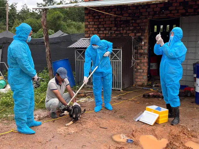 Chó Có Biểu Hiện Lạ