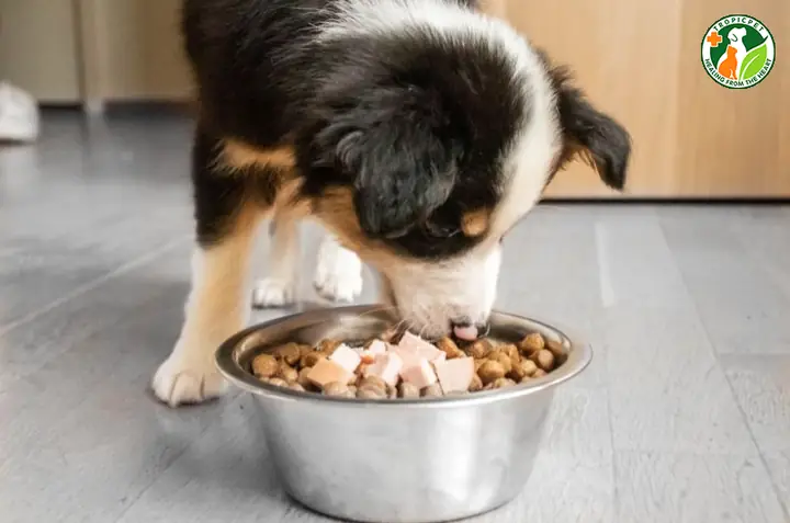 Chế Độ Dinh Dưỡng Hợp Lý