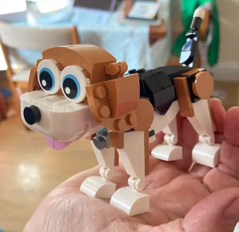 Chó Có Ve Phải Làm Sao: Hướng Dẫn Xử Lý Ve Rận Hiệu Quả Và An Toàn