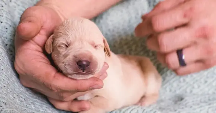 Câu Hỏi Thường Gặp