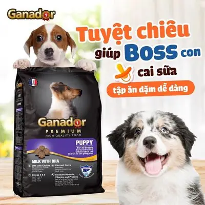 10kg Thức Ăn Cho Chó Ganador Puppy Vị Sữa Dha