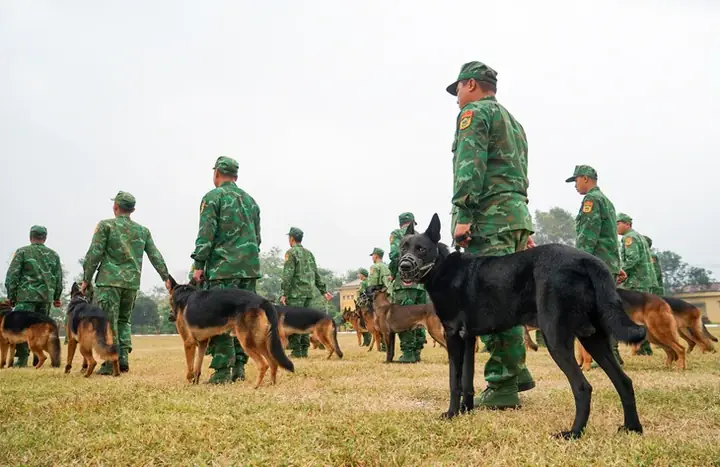 Tuyển Chọn Khắt Khe Tuyển Chọn Khắt Khe