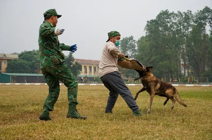 Tuyển Chọn Khắt Khe Tuyển Chọn Khắt Khe