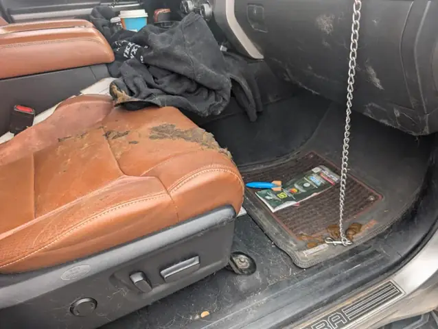 Hướng Dẫn Toàn Diện Về Việc Để Chó Trên Xe Hơi An Toàn Và Thoải Mái