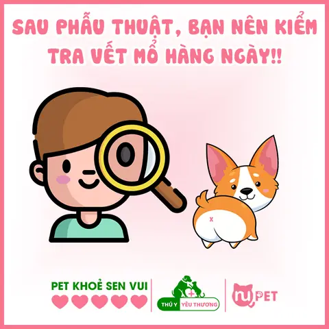 Kiểm Tra Vết Mổ