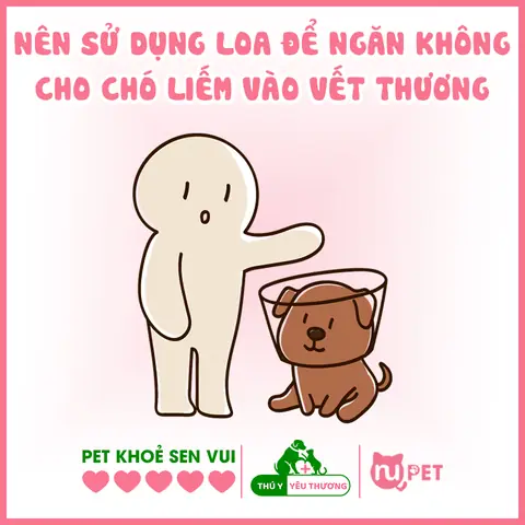 Sử Dụng Loa Chống Liếm