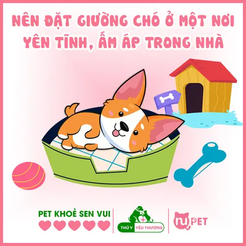 Chuẩn Bị Một Nơi Nghỉ Ngơi